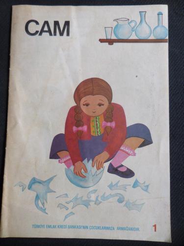 Cam Sayı 1