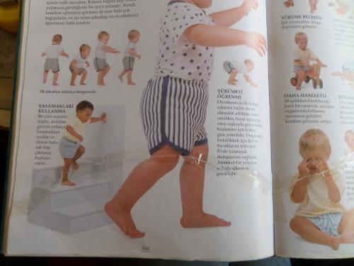 Annelik ve Bebek Bakımı Elizabeth Fenwick