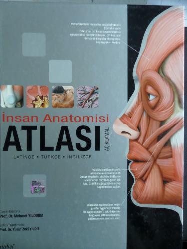 Açıklamalı İnsan Anatomisi Atlası Mehmet Yıldırım