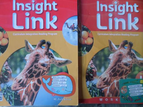 Insight Link Starter L1 + Workbook (İkinci El)