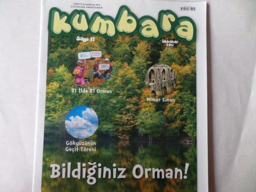 Kumbara Dergisi 2013 / 11