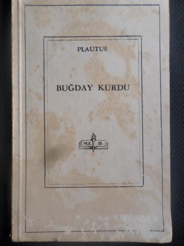 Buğday Kurdu Plautus