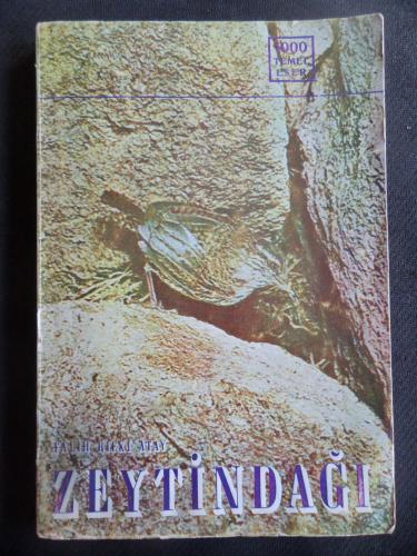 Zeytindağı