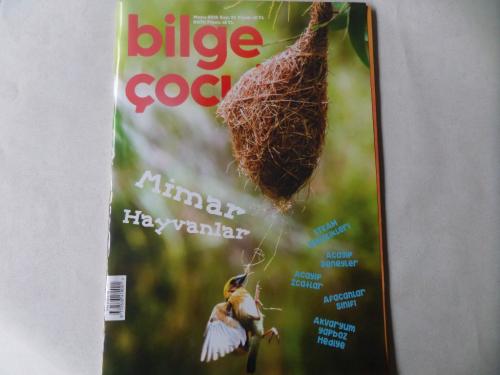 Bilge Çocuk Dergisi 2009 / 33
