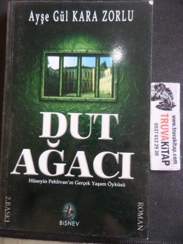 Dut Ağacı