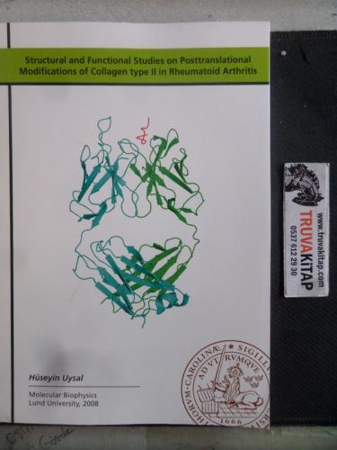Structural and Functional Studies on Posttranslational Modifications o