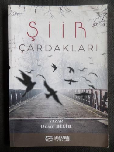 Şiir Çardakları Onur Bilir