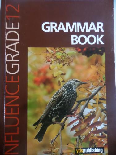 Influence Grade 12 Grammar Book