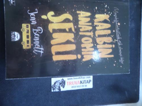 Kalbin Anatomik Şekli