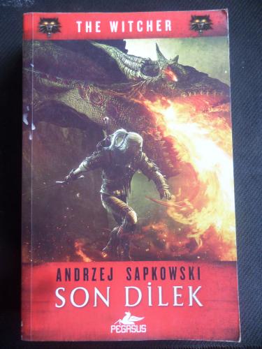 Son Dilek - The Witcher 1