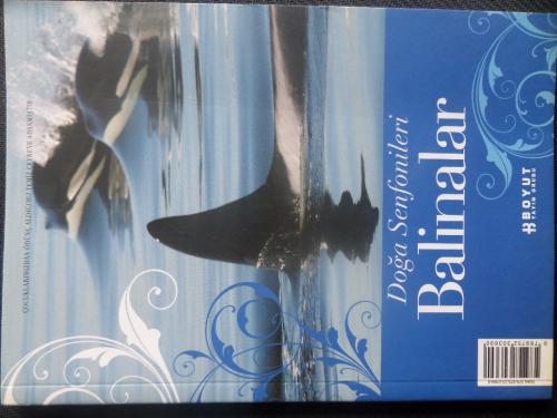 Doğa Senfonileri - Balinalar