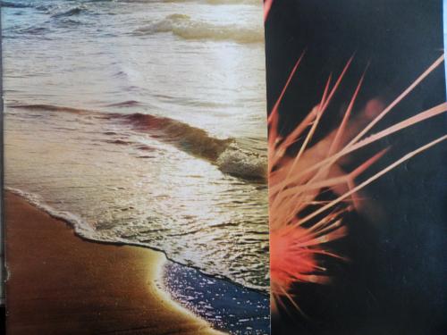 İlgi Dergisi 1980 / Sayı 29-30