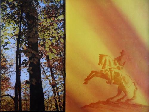 İlgi Dergisi 1981 / Sayı 31-32