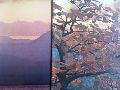 İlgi Dergisi 1982 / Sayı 33-34