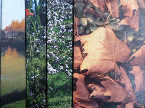 İlgi Dergisi 1989 / Sayı 56-57-58-59