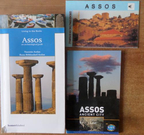 Asos Rehberi (3 Adet)