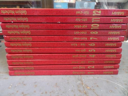 Gelişim Hachette Alfabetik Genel Kültür Ansiklopedisi / 12 Cilt Takım