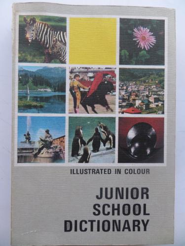Junior School Dictionary