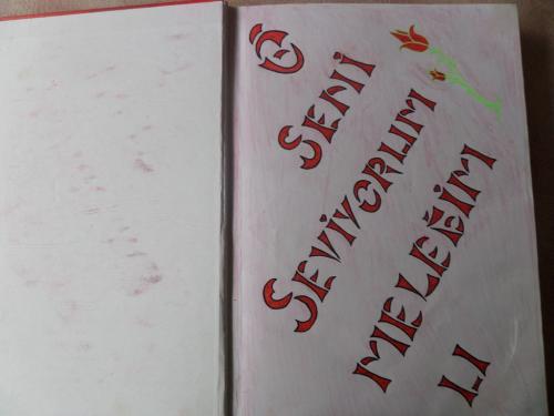 Hatıra Defteri / Shape of My Heart