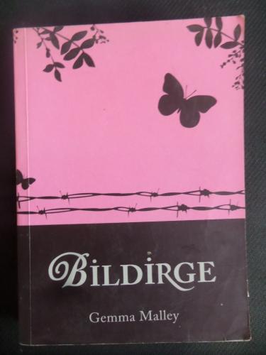 Bildirge
