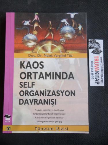 Kaos Ortamında Self Organizasyon Davranışı