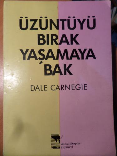 Üzüntüyü Bırak Yaşamaya Bak Dale Carnegie