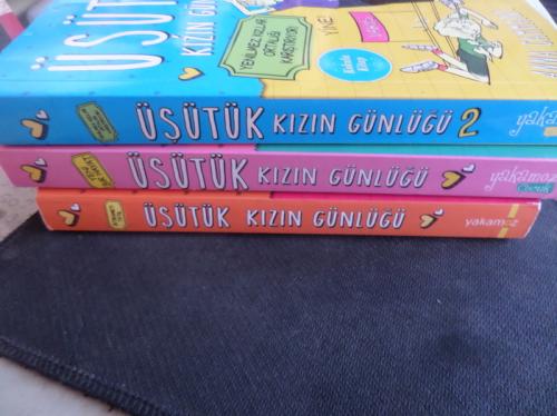 Üşütük Kızın Günlüğü / 3 Kitap