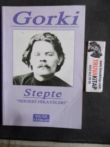 Stepte Serseri Hikayeleri
