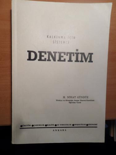 Kalkınma için Sistemci Denetim