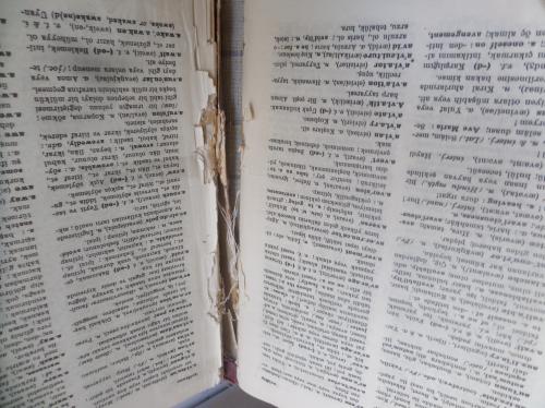 Yeni Redhouse Lugatı İngilizce - Türkçe