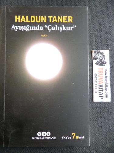 Ayışığında 'Çalışkur'