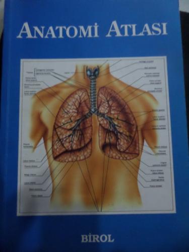 Anatomi Atlası