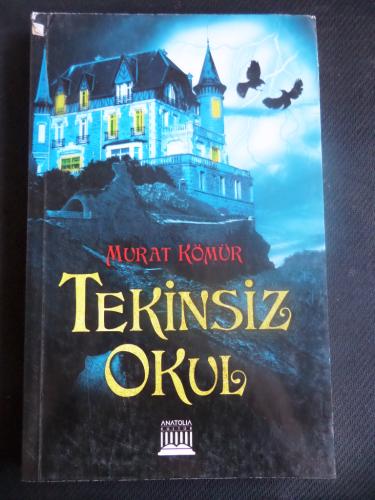 Tekinsiz Okul