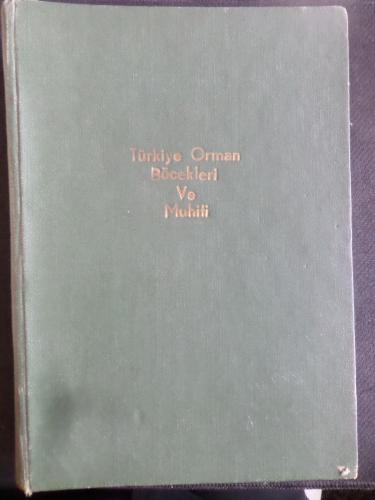 Türkiye Orman Böcekler ve Muhiti