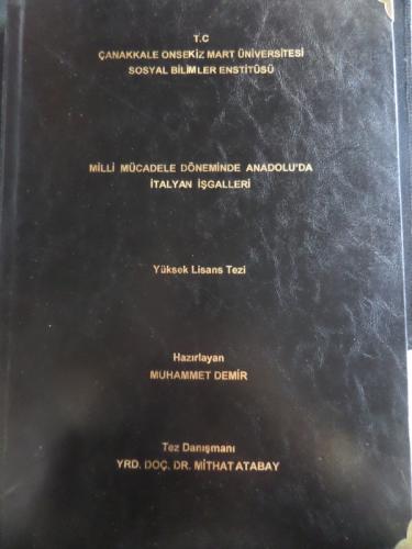 Milli Mücadele Döneminde Anadolu'da İtalyan İşgalleri ( Yüksek Lisans 