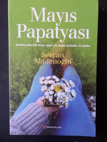 Mayıs Papatyası