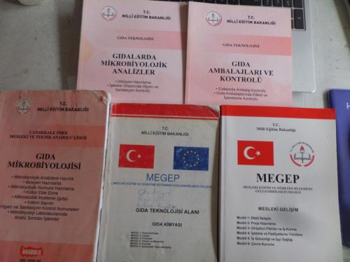 MEGEP Mesleki Eğitim ve Öğretim Sisteminin Güçlendirilmesi Projesi