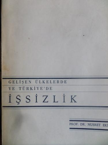 Gelişen Ülkelerde ve Türkiye'de İşsizlik
