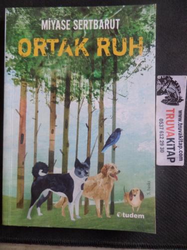 Ortak Ruh Miyase Sertbarut