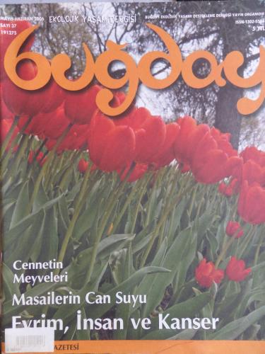 Buğday Bülteni 2006 / 37