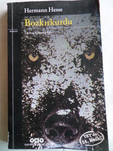 Bozkırkurdu Hermann Hesse