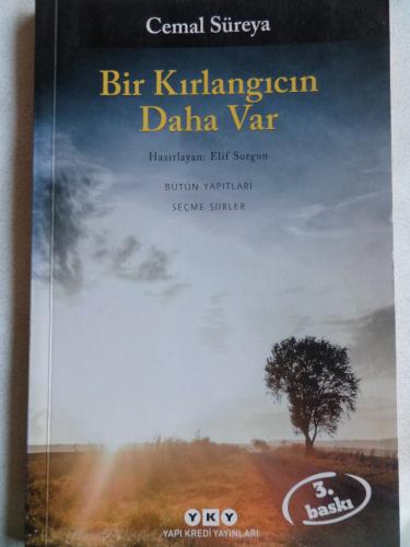 Bir Kırlangıcın Daha Var Cemal Süreya