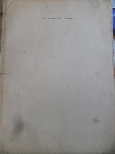 Pierre - Joseph Redoute Rosen