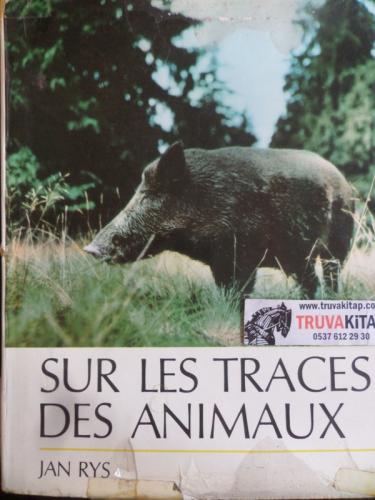 Sur Les Traces Des Animaux