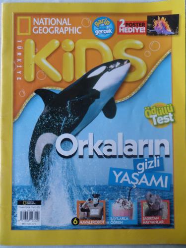 Kids 2018 / Temmuz - Orkların Gizli Yaşamı