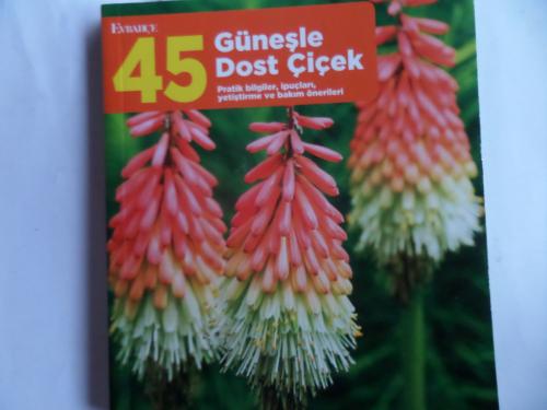 45 Güneşle Dost Çiçek