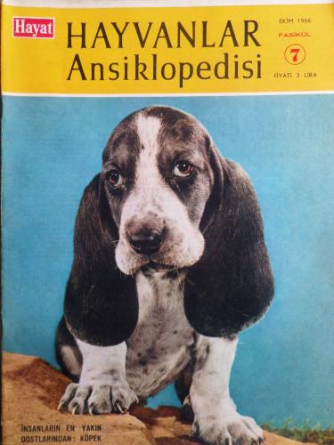 Hayat Hayvanlar Ansiklopedisi 1966 / 7 - Köpek