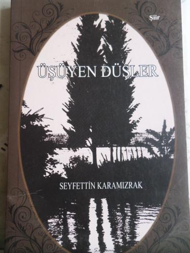 Üşüyen Düşler