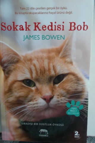 Sokak Kedisi Bob James Bowen